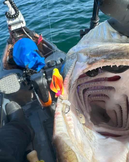 ByCatch Alert! Watch out for monsters!