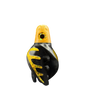 HSM-GO_BSM-BK_TTM-BK_CO-GO.png