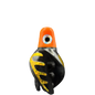 HSM-OR_BSM-BK_TTM-BK_CO-GO.png