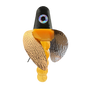 HSR-BK_BSR-GO_TWR-MA_WS-CP.png
