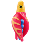 HSR-GO_BSR-BL_TTR-PK_CO-GLW-YE.png