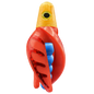 HSR-GO_BSR-BL_TTR-RD_CO-RD.png