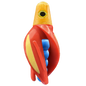 HSR-GO_BSR-BL_TTR-RD_ST-GLW-YE-RD.png