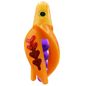 HSR-GO_BSR-PU_TTR-MA_FB-RD.png