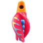 HSR-MA_BSR-BL_TTR-PK_CO-GLW-MJ.png