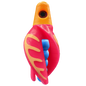 HSR-MA_BSR-BL_TTR-PK_CO-GLW-YE.png