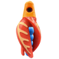 HSR-MA_BSR-BL_TTR-RD_CO-GLW-OR.png