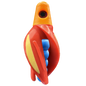 HSR-MA_BSR-BL_TTR-RD_ST-GLW-YE-RD.png