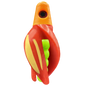 HSR-MA_BSR-CH_TTR-RD_ST-GLW-YE.png