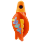 HSR-MA_BSR-GO_TTR-OR_FB-GLW-MJ.png