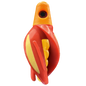 HSR-MA_BSR-GO_TTR-RD_ST-GLW-YE-RD.png