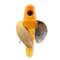 HSR-MA_BSR-GO_TWR-MA_WS-CP.png