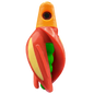 HSR-MA_BSR-GR_TTR-RD_ST-GLW-YE-RD.png