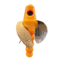 HSR-MA_BSR-MA_TWR-MA_WS-CP.png