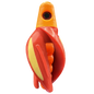 HSR-MA_BSR-OR_TTR-RD_ST-GLW-YE-RD.png