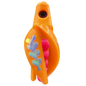 HSR-MA_BSR-PK_TTR-MA_FB-GLW-MJ.png
