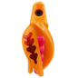 HSR-MA_BSR-PK_TTR-MA_FB-RD.png