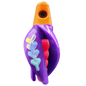 HSR-MA_BSR-PK_TTR-PU_FB-GLW-MJ.png