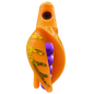 HSR-MA_BSR-PU_TTR-MA_CO-GO.png