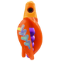 HSR-MA_BSR-PU_TTR-OR_FB-GLW-MJ.png