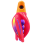 HSR-MA_BSR-PU_TTR-PK_ST-PU.png
