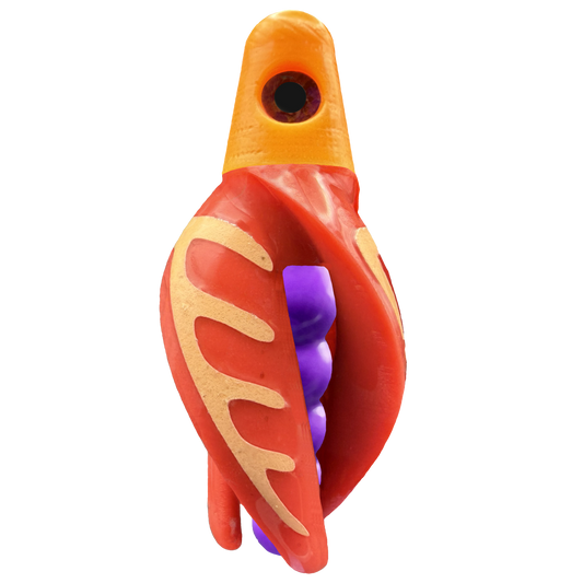 HSR-MA_BSR-PU_TTR-RD_CO-GLW-OR.png