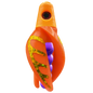 HSR-MA_BSR-PU_TTR-RD_CO-GO.png