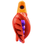 HSR-MA_BSR-PU_TTR-RD_CO-RD.png