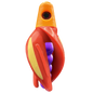 HSR-MA_BSR-PU_TTR-RD_ST-GLW-YE-RD.png
