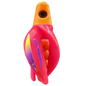 HSR-MA_BSR-RD_TTR-PK_ST-PU.png