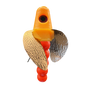 HSR-MA_BSR-RD_TWR-MA_WS-CP.png