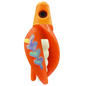 HSR-MA_BSR-WH_TTR-OR_FB-GLW-MJ.png