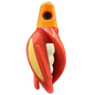 HSR-MA_BSR-WH_TTR-RD_ST-GLW-YE-RD.png