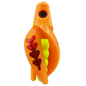 HSR-MA_BSR-YE_TTR-MA_FB-RD.png