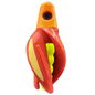 HSR-MA_BSR-YE_TTR-RD_ST-GLW-YE-RD.png