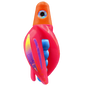 HSR-OR_BSR-BL_TTR-PK_ST-PU.png