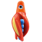 HSR-OR_BSR-BL_TTR-RD_ST-GLW-YE-RD.png