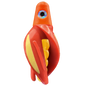 HSR-OR_BSR-GO_TTR-RD_ST-GLW-YE-RD.png