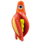 HSR-OR_BSR-YE_TTR-RD_ST-GLW-YE-RD.png
