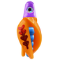 HSR-PU_BSR-BL_TTR-MA_FB-RD.png