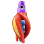 HSR-PU_BSR-BL_TTR-RD_ST-GLW-YE-RD.png