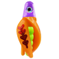 HSR-PU_BSR-CH_TTR-MA_FB-RD.png