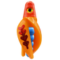 HSR-RD_BSR-BL_TTR-MA_FB-RD.png