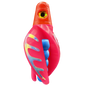 HSR-RD_BSR-BL_TTR-PK_CO-GLW-MJ.png