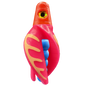 HSR-RD_BSR-BL_TTR-PK_CO-GLW-YE.png