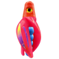 HSR-RD_BSR-BL_TTR-PK_ST-PU.png