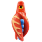 HSR-RD_BSR-BL_TTR-RD_CO-GLW-OR.png