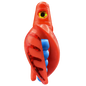 HSR-RD_BSR-BL_TTR-RD_CO-RD.png