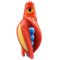 HSR-RD_BSR-BL_TTR-RD_ST-GLW-YE-RD.png
