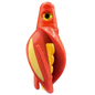 HSR-RD_BSR-GO_TTR-RD_ST-GLW-YE-RD.png